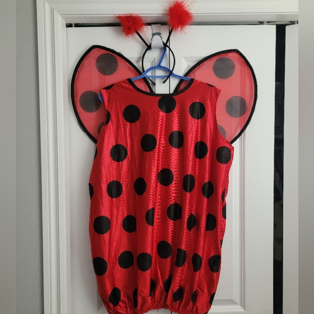 Red and Black Polka Dot Ladybug Costume